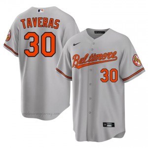 #30 Leody Taveras Gray Baltimore O's Men Official Stitch Baseball Jersey 1Ff32157