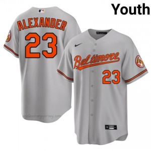 Baltimore Orioles #23 Blaze Alexander Gray Youth Premium Embroidery Baseball Jersey 27J84070