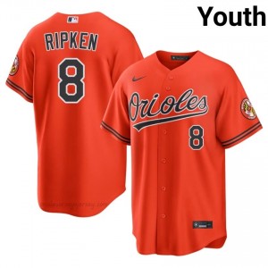 Cal Ripken Jr. #8 Orange BAL Orioles Youth Limited Embroidery Baseball Jersey 8qrMAo96